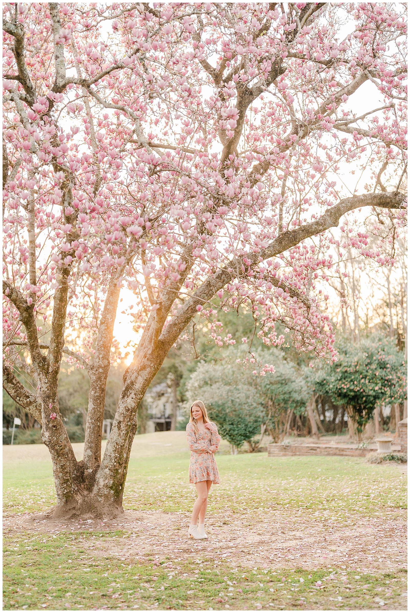 Girl standing under a Japanese Magnolia